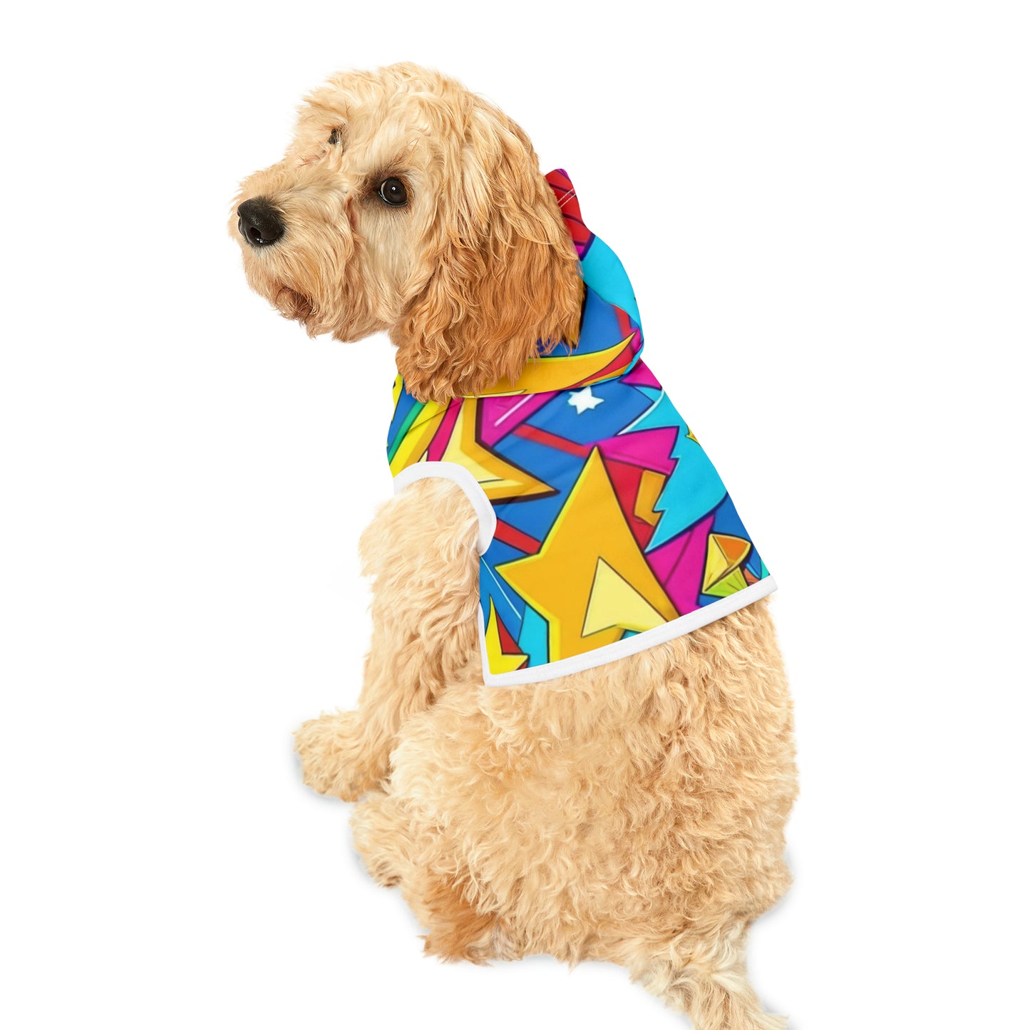 Pet Hoodie